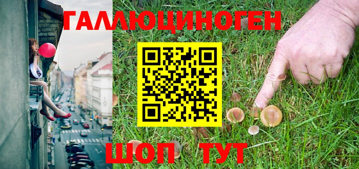 Псилоцибиновые грибы MAGIC MUSHROOMS  Вход с VPN  Псилоцибиновые грибы Psilocybe  Котовск 